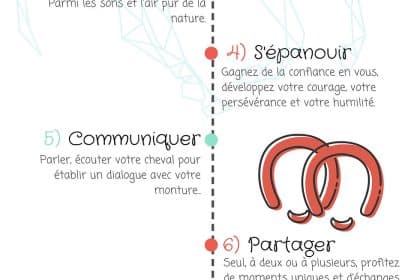 découvrez les nombreux bienfaits de l'équitation, une activité enrichissante qui améliore le bien-être physique et mental, renforce la confiance en soi et favorise des liens uniques entre l'homme et le cheval.