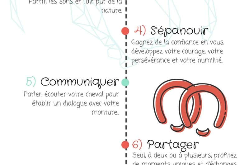 découvrez les nombreux bienfaits de l'équitation, une activité enrichissante qui améliore le bien-être physique et mental, renforce la confiance en soi et favorise des liens uniques entre l'homme et le cheval.