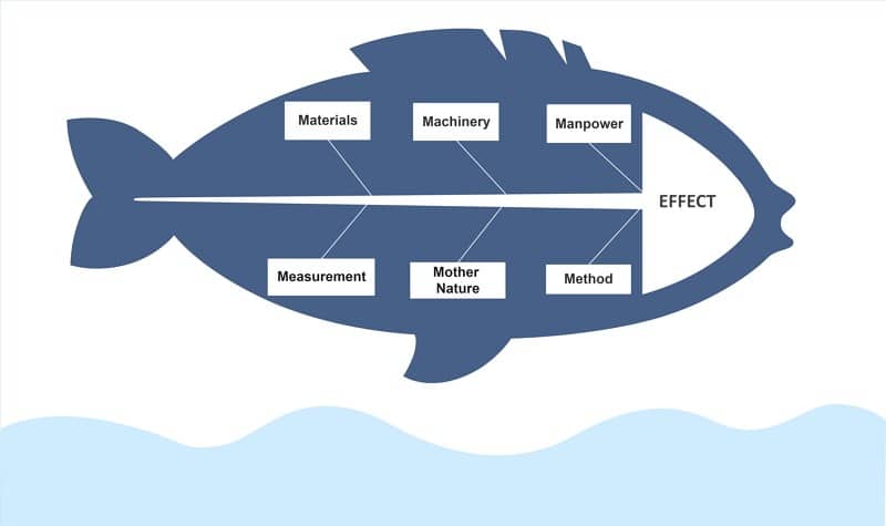 découvrez les causes de l'inactivité chez les poissons et explorez des solutions efficaces pour améliorer leur bien-être. apprenez à identifier les problèmes et à restaurer la vitalité de vos poissons.